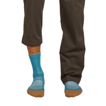 Icebreaker Wandersocke Crew Hike+ Light (Merino wool, durable, lightweight) blue/orange men's